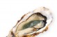 Oesters, Fines de Claire