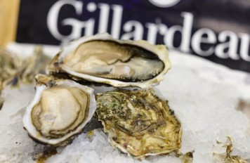 Oesters, Gillardeau