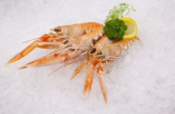 Langoustines 